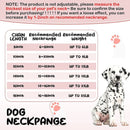 Diamond Pets – Coleira de Luxo com Elo para Cães e Gatos