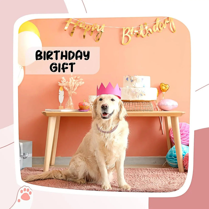 Diamond Pets – Coleira de Luxo com Elo para Cães e Gatos