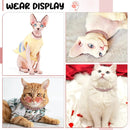 Diamond Pets – Coleira de Luxo com Elo para Cães e Gatos