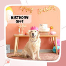 Diamond Pets – Coleira de Luxo com Elo para Cães e Gatos