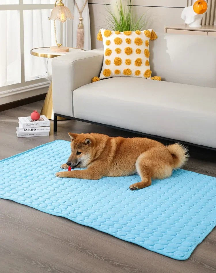 Sleep Fresh – Cama Refrescante Portátil para Pets