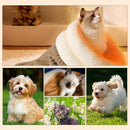 Cama Saco de Dormir para Gatos