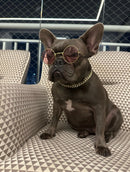 Diamond Pets – Coleira de Luxo com Elo para Cães e Gatos