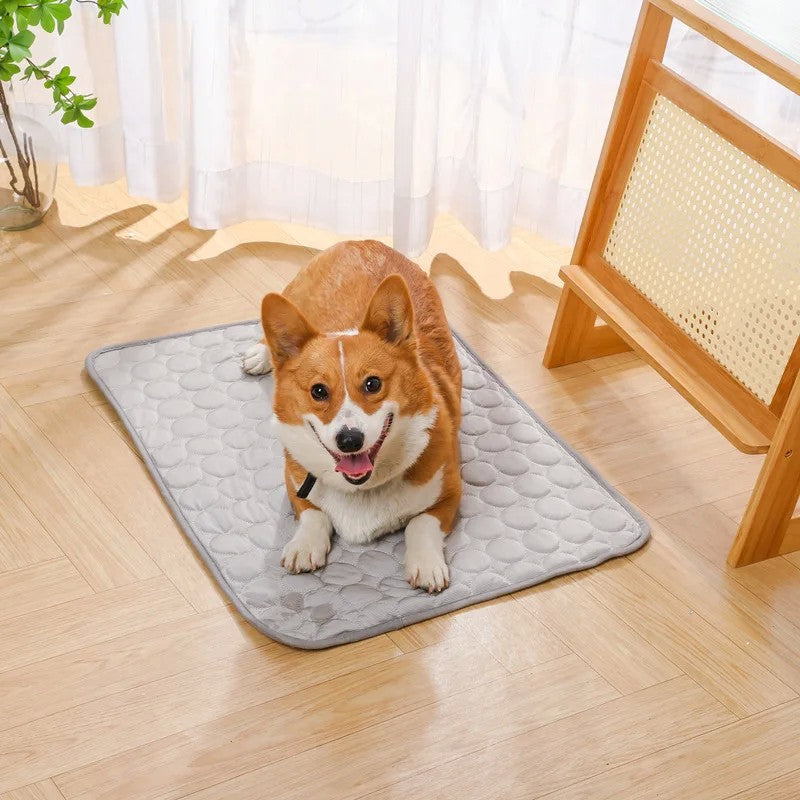 Sleep Fresh – Cama Refrescante Portátil para Pets