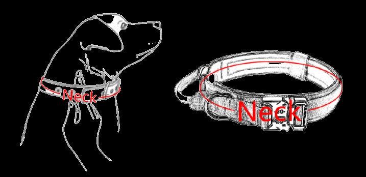 Linha Tática AirSecure – Coleira de Nylon com Suporte AirTag para Cães