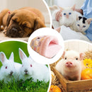 Caverna de Cama para Gatos e Cães | Comfort