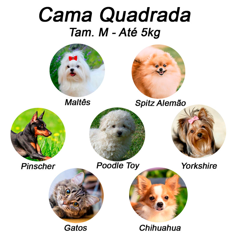Linha cama casulo | Joaninha